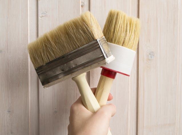 Paints & Wall Coverings