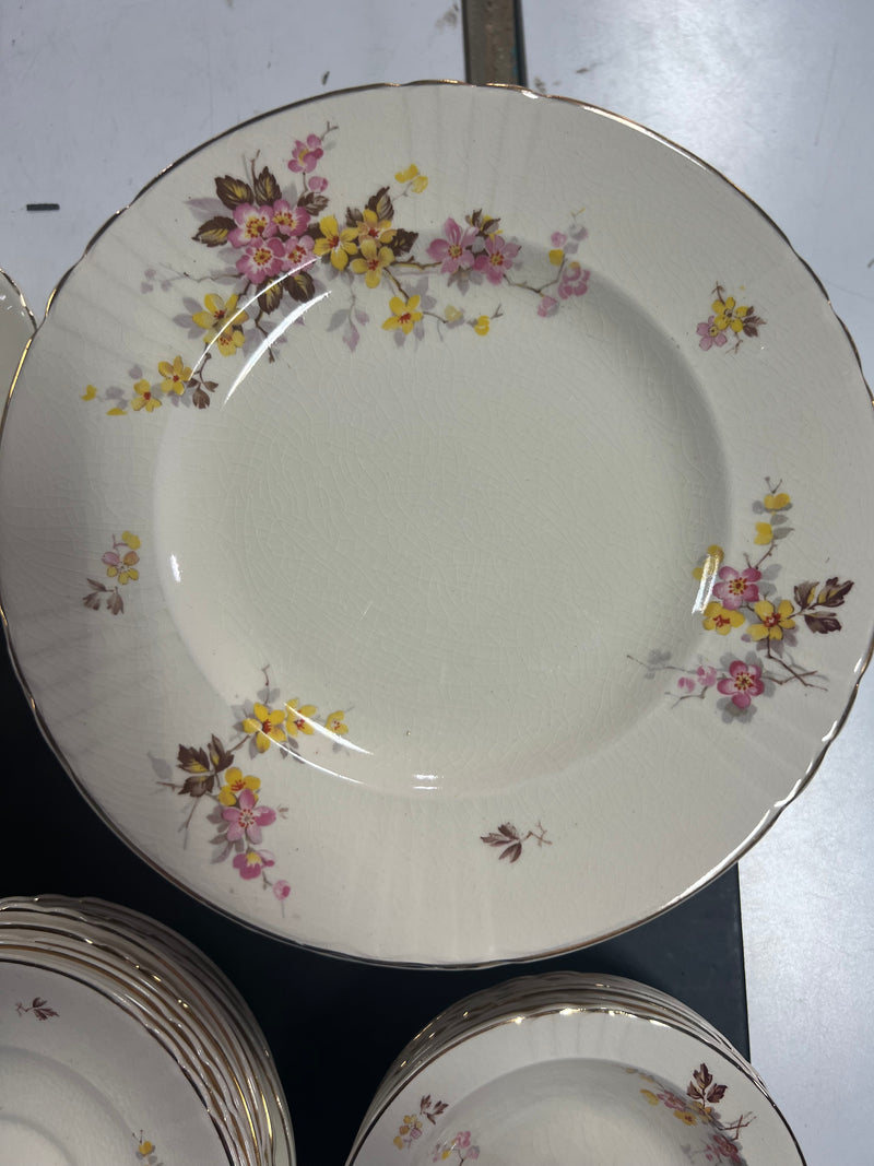 Myott Floral Earthenware Dinner Set