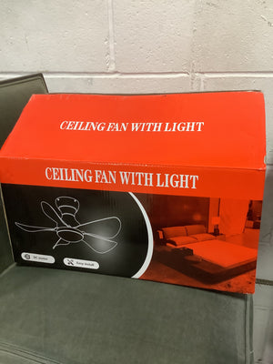 Ceiling Fan with Light