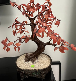 Decorative Plastic Bonsai