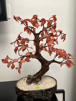 Decorative Plastic Bonsai
