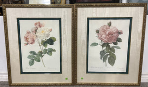 The Rose & Rose Damascena Artworks