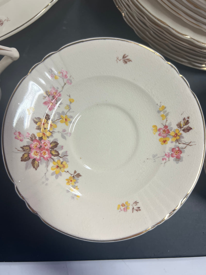 Myott Floral Earthenware Dinner Set