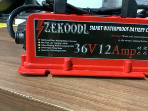 Golf Battery Charger