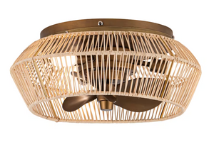 Caged Ceiling Fan