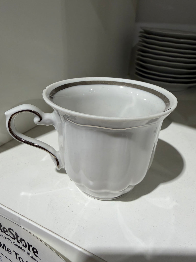 Polish Walbrazych Porcelain Tea Set (26 pieces)