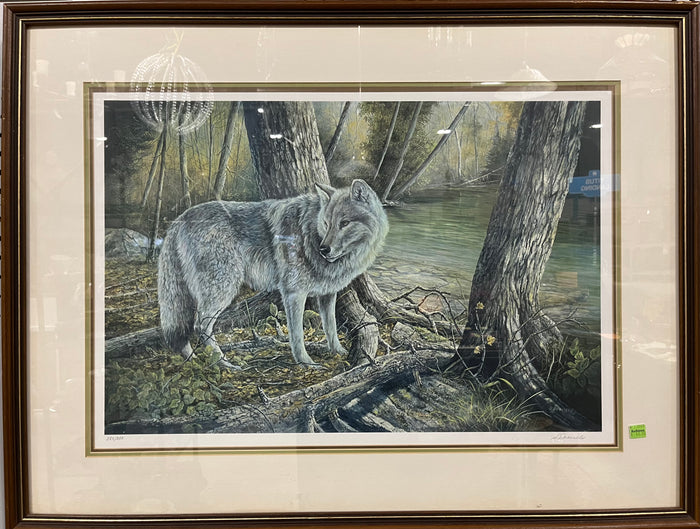 Wolf in Forest Artwork