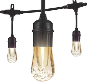 12 Bulb 24 ft. Outdoor/Indoor Black Vintage LED String Lights, Acrylic Edison Bulbs