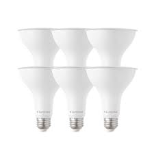 75 Watt Equivalent PAR30 Dimmable Flood Bulb 3000K Bright White (6-Pack)