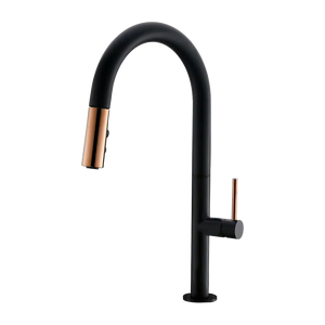 Calera Kitchen Faucet