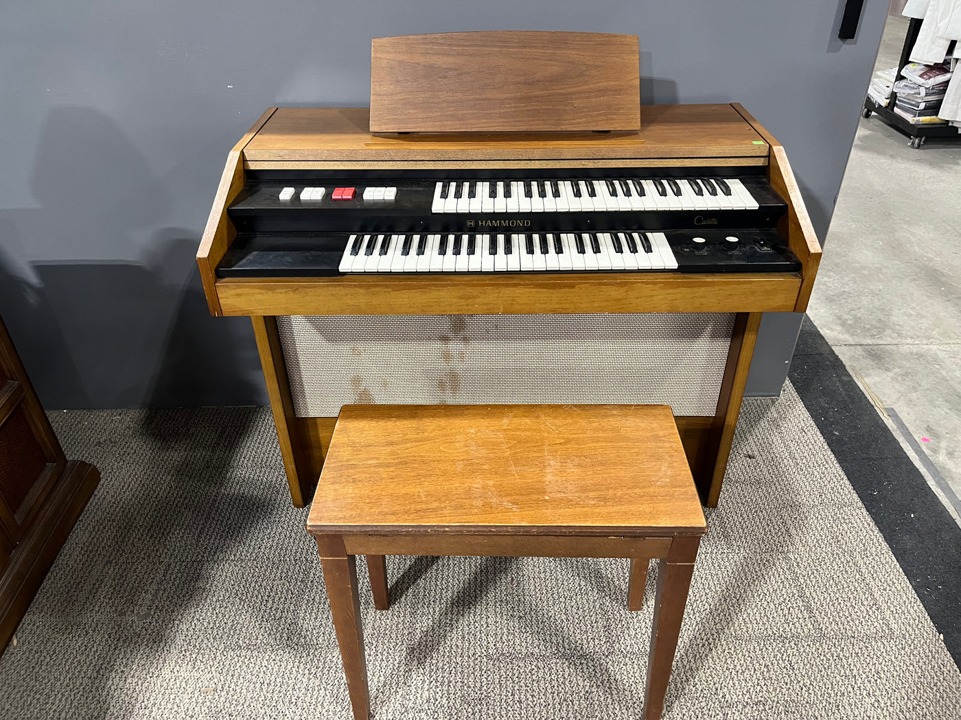 Hammond best sale electric organ