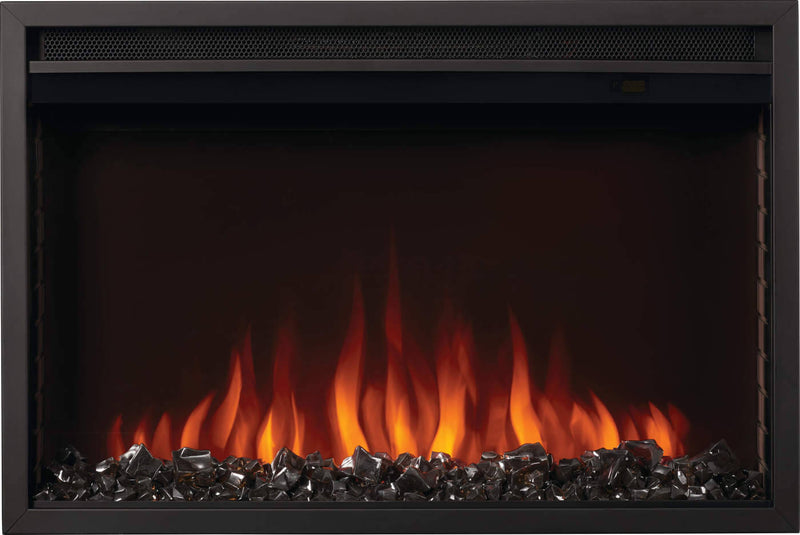 30" Napoleon Cineview Fireplace Insert
