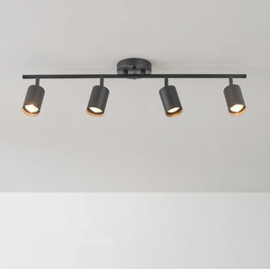 Globe Electric 4-Light Matte Black Track Lighting Bar