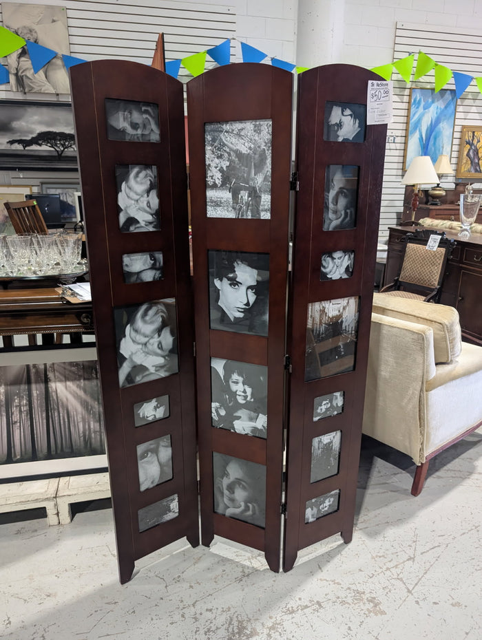 Picture Frame Room Divider
