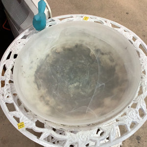 Bird Bath