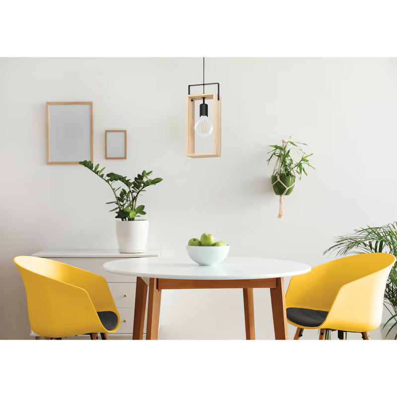 Pendant Light W/ Black Finish