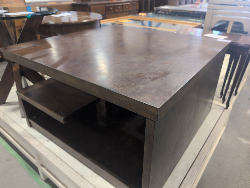 Square Wood Coffee Table with Internal Shelves