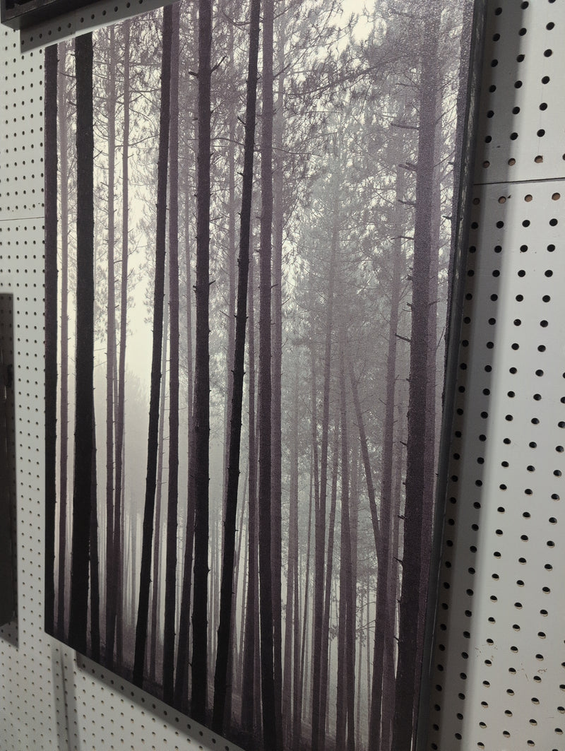 Dark Forest Painting