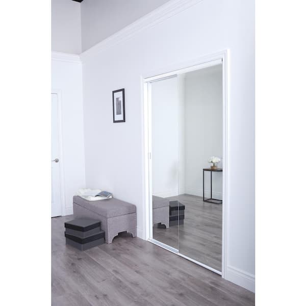 Renin 48" x 80" Frameless Mirror Steel Bypass Closet Doors