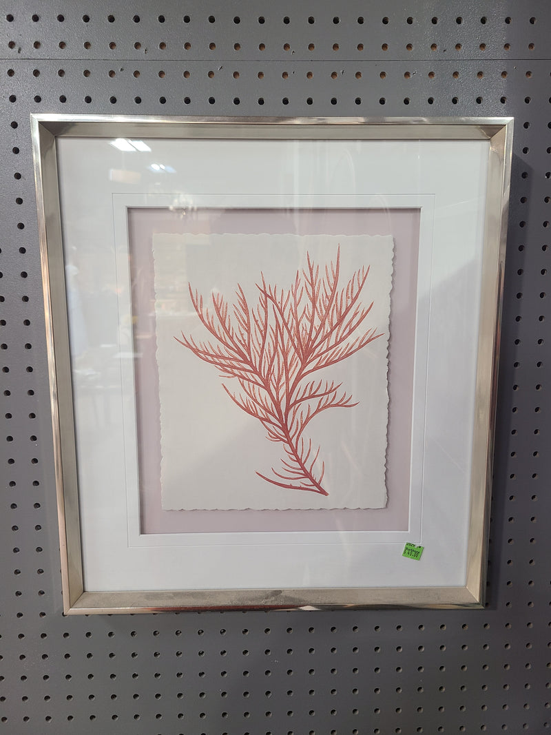 Framed Coral Seaweed Botanical Art – Metallic Silver Frame Painting