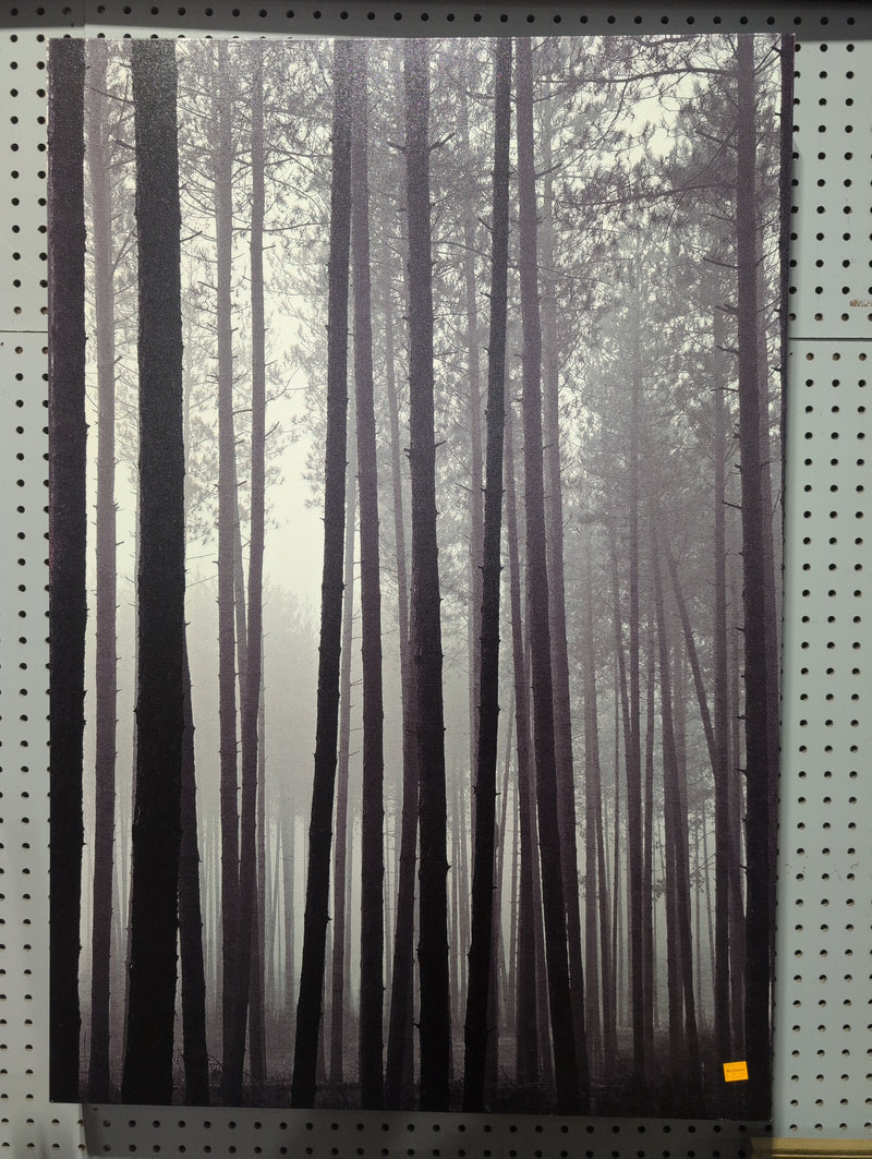 Dark Forest Painting