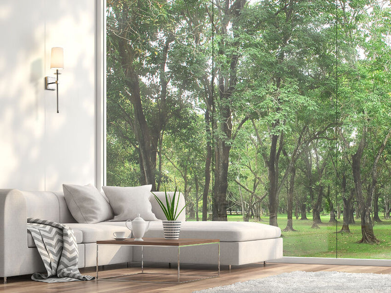 Z-Lite Camila Collection Wall Sconce with Polished Nickel Finish