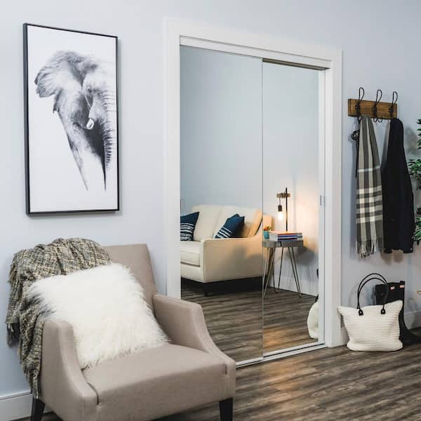 Renin 48" x 80" Frameless Mirror Steel Bypass Closet Doors