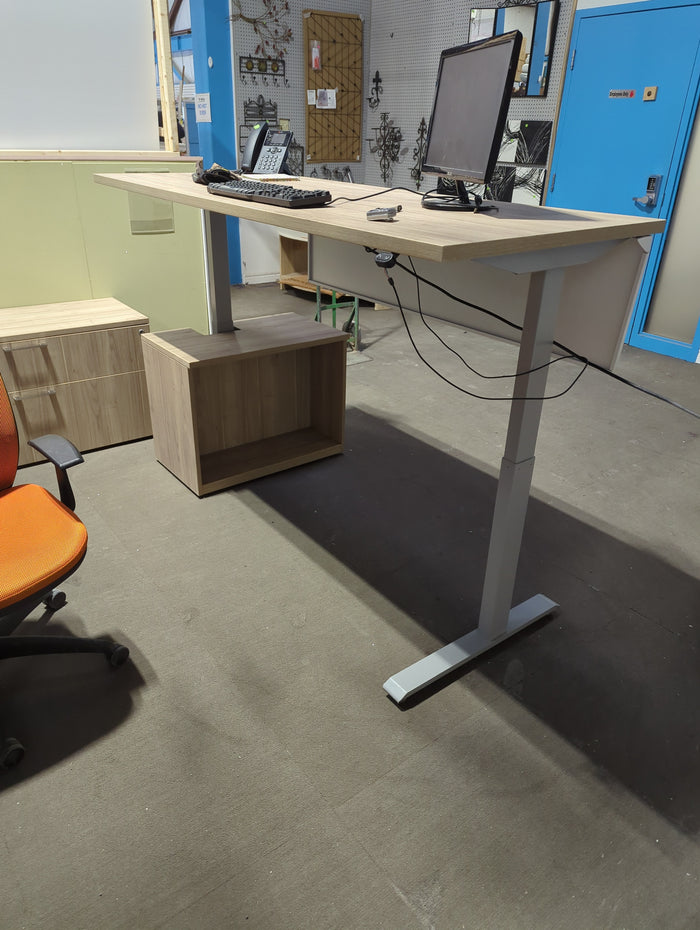 Electric Sit to Stand desk