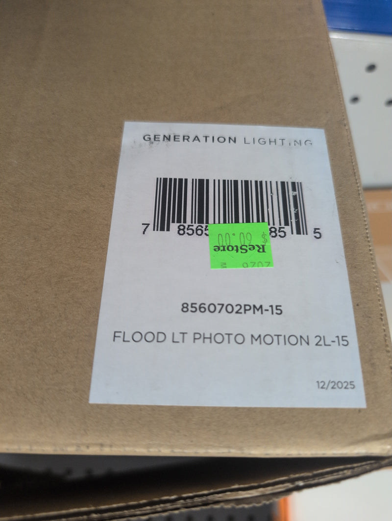 Generation Lighting Flood LT Photo Motion 2L-15