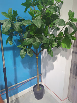 IKEA Artificial Potted Plant, Indoor/Outdoor Magnolia