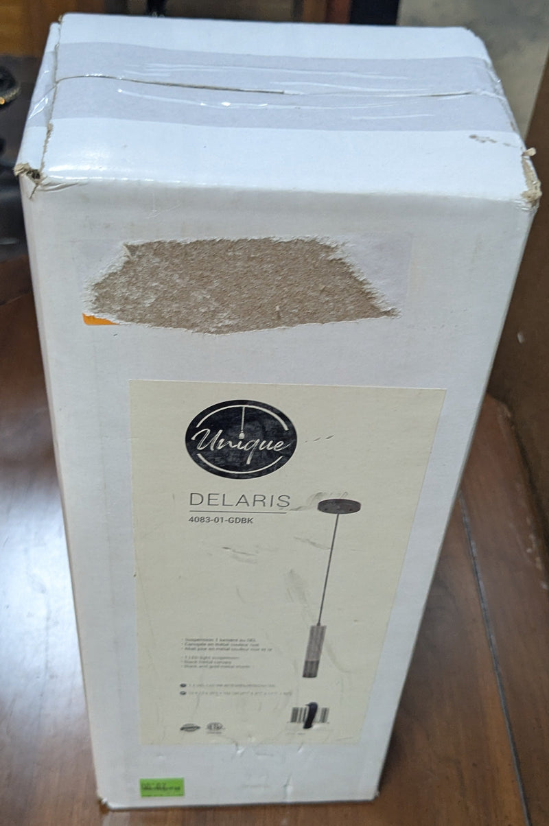 Unique Delaris Pendant Light