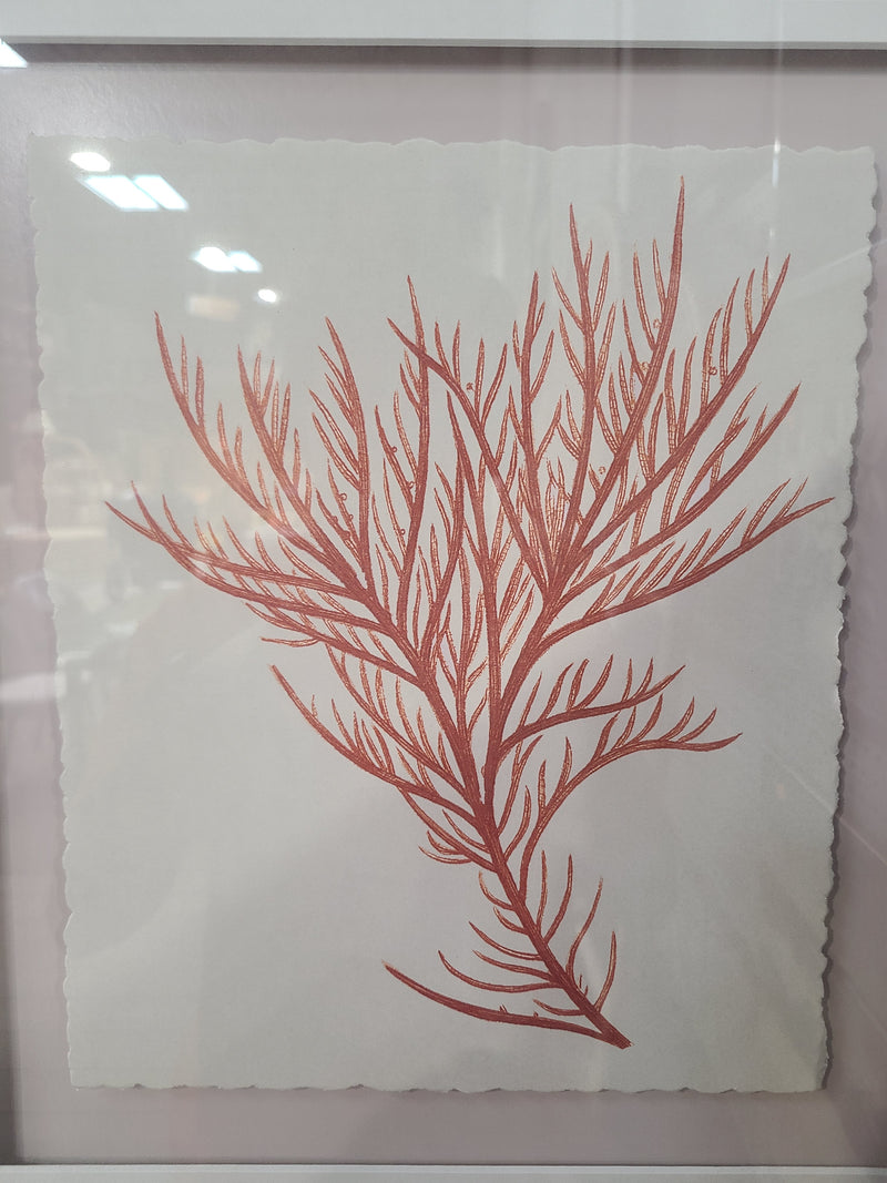 Framed Coral Seaweed Botanical Art – Metallic Silver Frame Painting