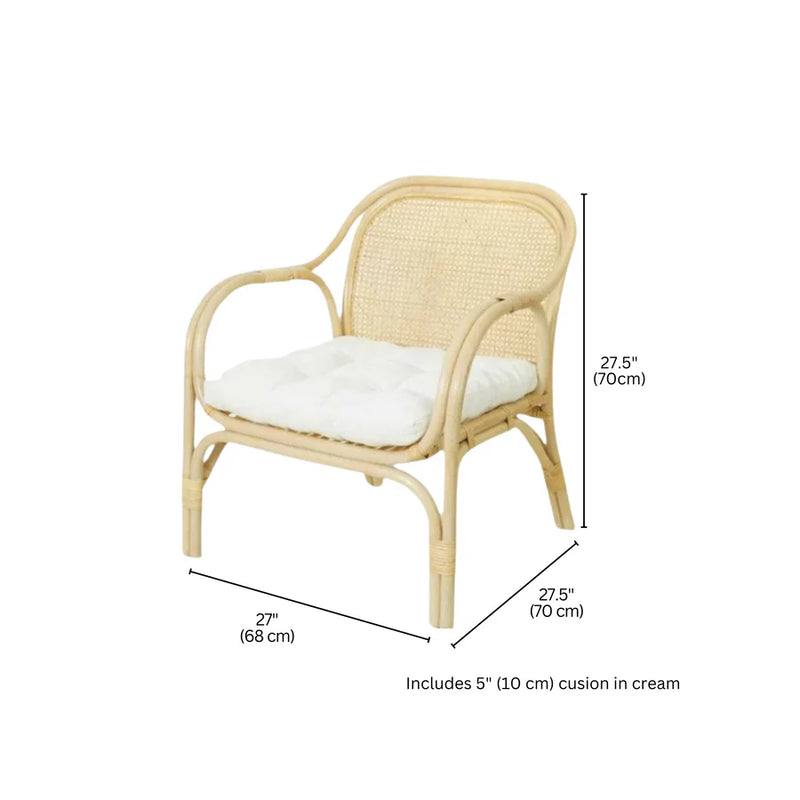 VISTA Rattan Arm Chair
