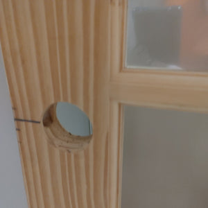 Glass Paned Door 32x79
