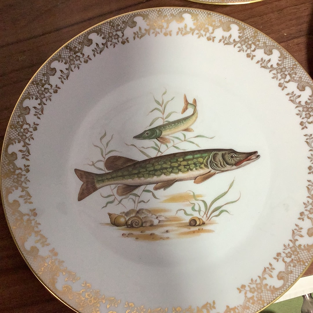 Fish Plates – Habitat for Humanity Greater Ottawa ReStore