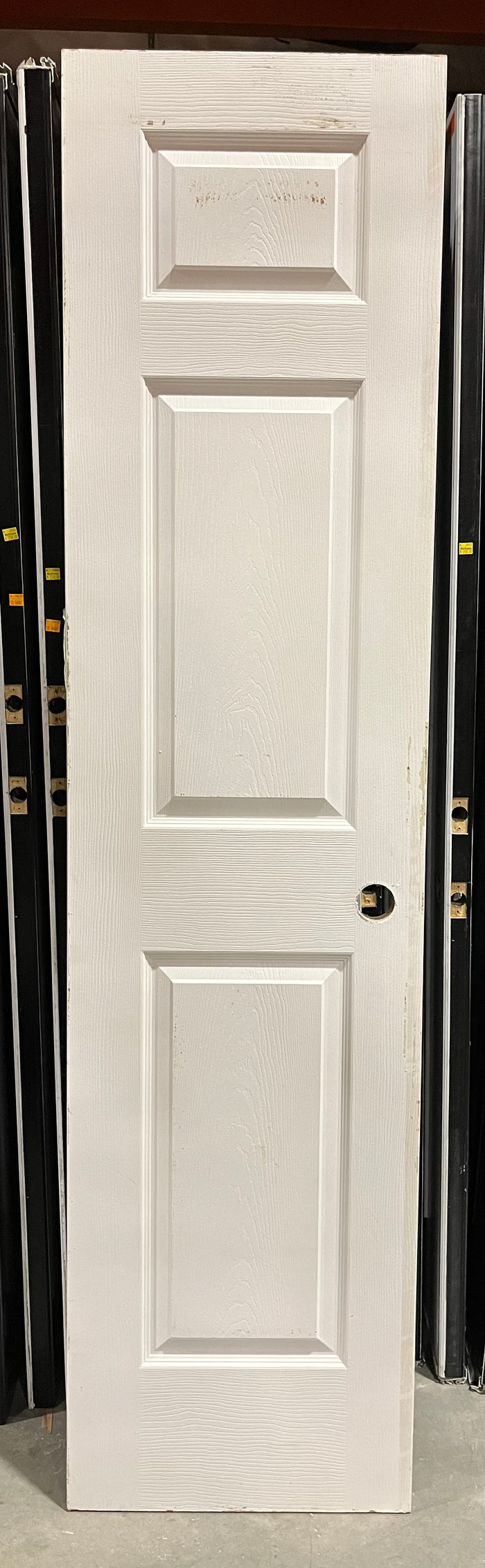 Standard White Panel Door (20” x 80”)