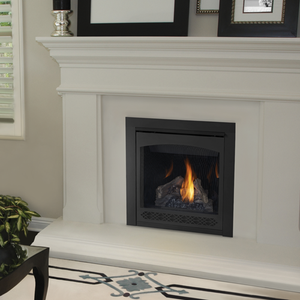 Napoleon Tall Natural Gas Fireplace Insert w/ Log