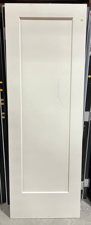 White Panel Door (27.5” x 79.5”)